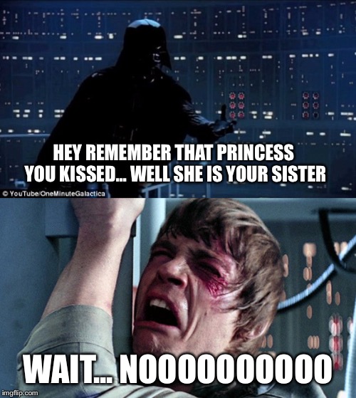 darth vader luke skywalker | HEY REMEMBER THAT PRINCESS YOU KISSED... WELL SHE IS YOUR SISTER; WAIT... NOOOOOOOOOO | image tagged in darth vader luke skywalker | made w/ Imgflip meme maker