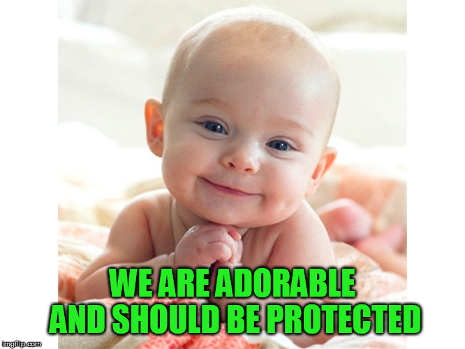 Cute Baby | WE ARE ADORABLE AND SHOULD BE PROTECTED | image tagged in cute baby | made w/ Imgflip meme maker