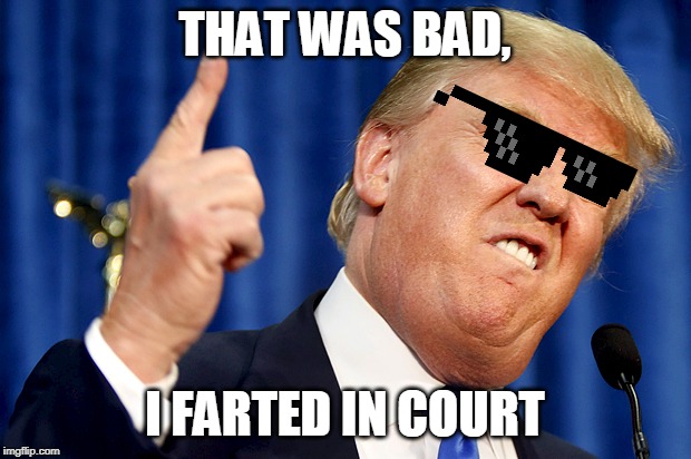 Donald Trump | THAT WAS BAD, I FARTED IN COURT | image tagged in donald trump | made w/ Imgflip meme maker