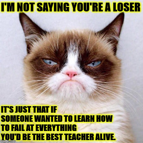 I'M NOT SAYING | I'M NOT SAYING YOU'RE A LOSER; IT'S JUST THAT IF SOMEONE WANTED TO LEARN HOW TO FAIL AT EVERYTHING YOU'D BE THE BEST TEACHER ALIVE. | image tagged in i'm not saying | made w/ Imgflip meme maker