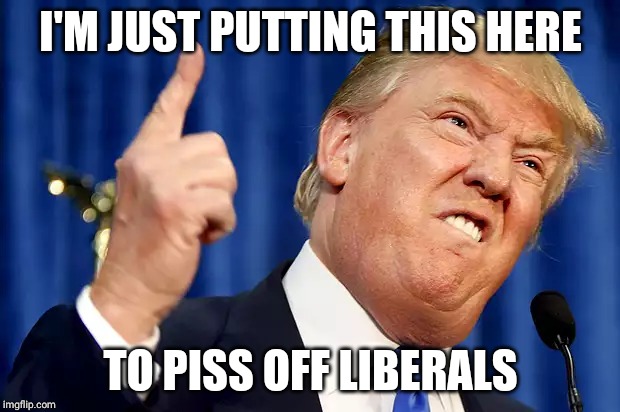 Donald Trump | I'M JUST PUTTING THIS HERE; TO PISS OFF LIBERALS | image tagged in donald trump | made w/ Imgflip meme maker