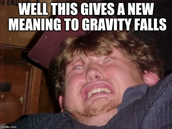 WTF | WELL THIS GIVES A NEW MEANING TO GRAVITY FALLS | image tagged in memes,wtf | made w/ Imgflip meme maker