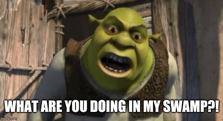 Shrek What are you doing in my swamp? | WHAT ARE YOU DOING IN MY SWAMP?! | image tagged in shrek what are you doing in my swamp | made w/ Imgflip meme maker