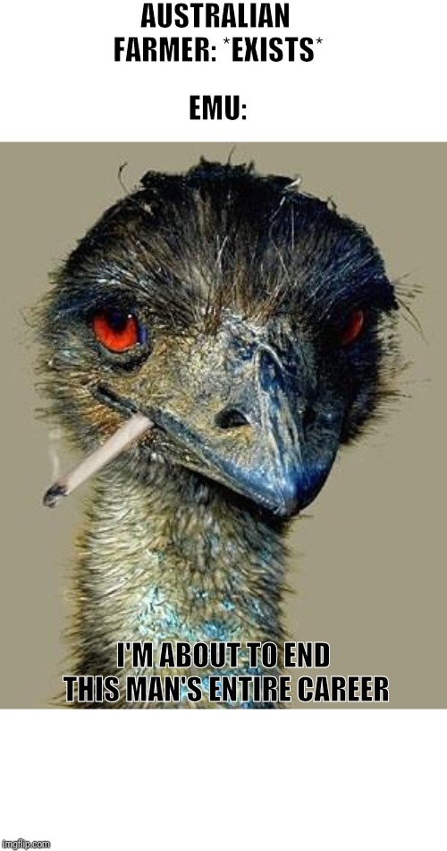 1932 be like: | AUSTRALIAN FARMER: *EXISTS*; EMU:; I'M ABOUT TO END THIS MAN'S ENTIRE CAREER | image tagged in history,historical meme,emu,i'm about to end this man's whole career,cigarette,new template | made w/ Imgflip meme maker