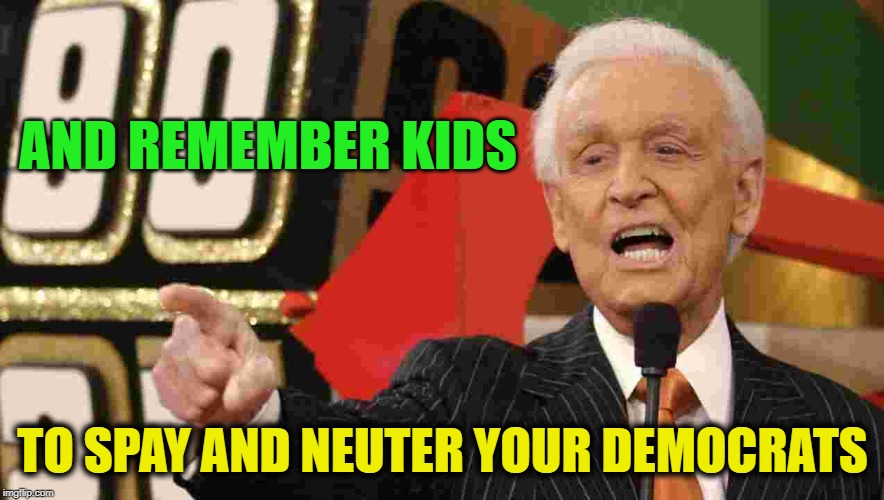 Can't have them breeding stupidity all over the place | AND REMEMBER KIDS; TO SPAY AND NEUTER YOUR DEMOCRATS | image tagged in memes,funny,funny memes,mxm | made w/ Imgflip meme maker