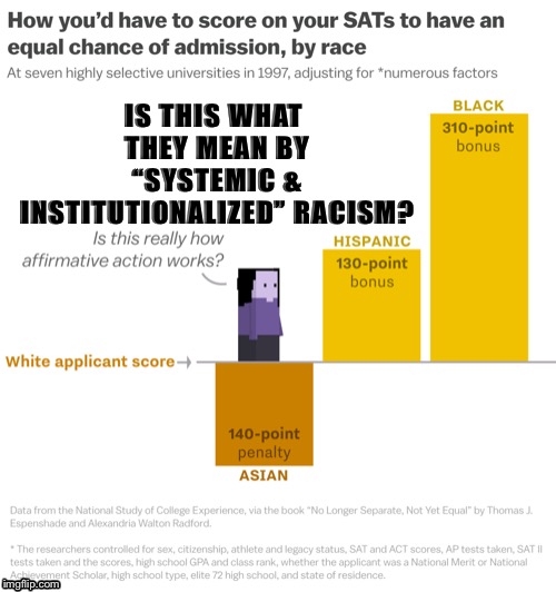 INSTITUTIONALIZED & SYSTEMIC RACISM | IS THIS WHAT THEY MEAN BY “SYSTEMIC & INSTITUTIONALIZED” RACISM? | image tagged in politics,racism,facts,race | made w/ Imgflip meme maker