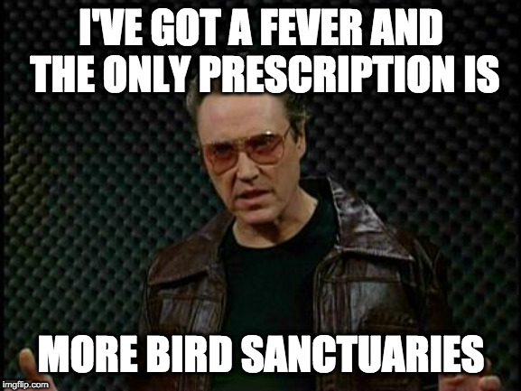 Needs More Cowbell | I'VE GOT A FEVER AND THE ONLY PRESCRIPTION IS; MORE BIRD SANCTUARIES | image tagged in needs more cowbell | made w/ Imgflip meme maker