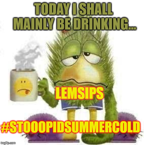 SICK & TIRED | TODAY I SHALL MAINLY BE DRINKING... LEMSIPS; #STOOOPIDSUMMERCOLD | image tagged in sick  tired | made w/ Imgflip meme maker
