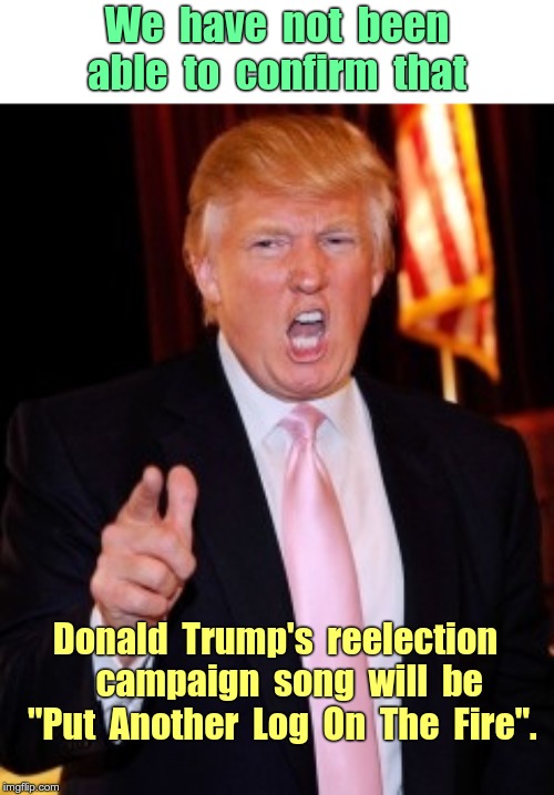 Election 2020 | We  have  not  been    able  to  confirm  that; Donald  Trump's  reelection     campaign  song  will  be   "Put  Another  Log  On  The  Fire". | image tagged in donald trump,funny memes,rick75230,election 2020 | made w/ Imgflip meme maker