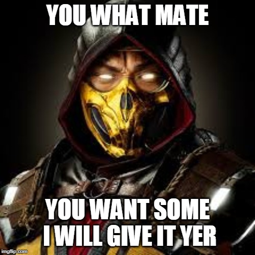 YOU WHAT MATE; YOU WANT SOME I WILL GIVE IT YER | image tagged in gaming | made w/ Imgflip meme maker