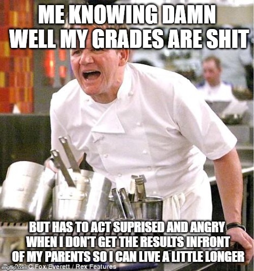 Chef Gordon Ramsay | ME KNOWING DAMN WELL MY GRADES ARE SHIT; BUT HAS TO ACT SUPRISED AND ANGRY WHEN I DON'T GET THE RESULTS INFRONT OF MY PARENTS SO I CAN LIVE A LITTLE LONGER | image tagged in memes,chef gordon ramsay | made w/ Imgflip meme maker