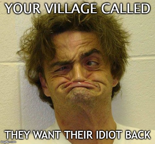 Village idiot | YOUR VILLAGE CALLED; THEY WANT THEIR IDIOT BACK | image tagged in funny | made w/ Imgflip meme maker