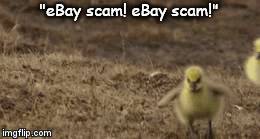 "eBay scam! eBay scam!" | image tagged in gifs | made w/ Imgflip video-to-gif maker
