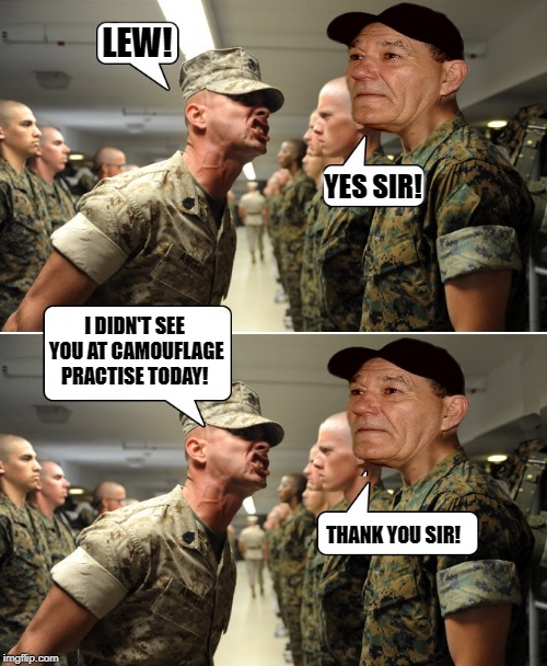 TEN HUT! | LEW! YES SIR! I DIDN'T SEE YOU AT CAMOUFLAGE PRACTISE TODAY! THANK YOU SIR! | image tagged in kewlew,boot camp,funny,sarg,yelling | made w/ Imgflip meme maker