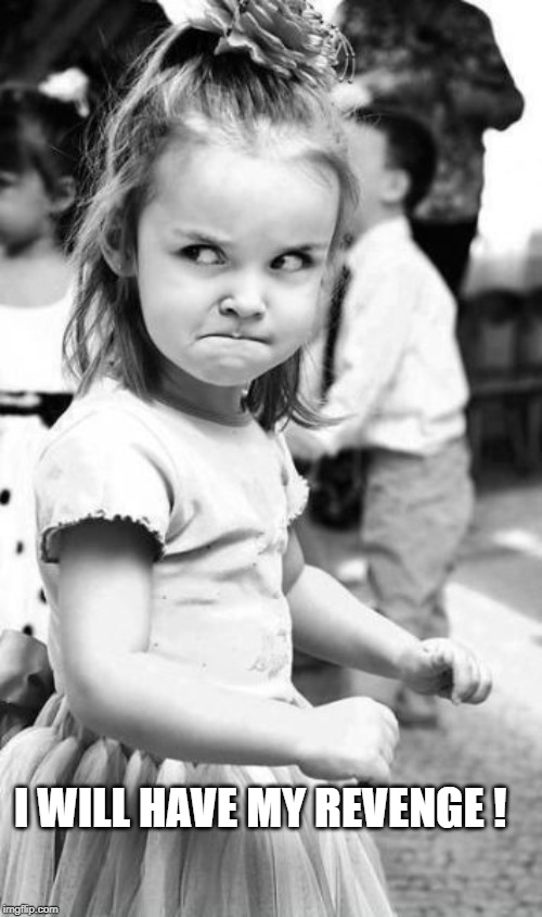 Angry Toddler Meme | I WILL HAVE MY REVENGE ! | image tagged in memes,angry toddler | made w/ Imgflip meme maker