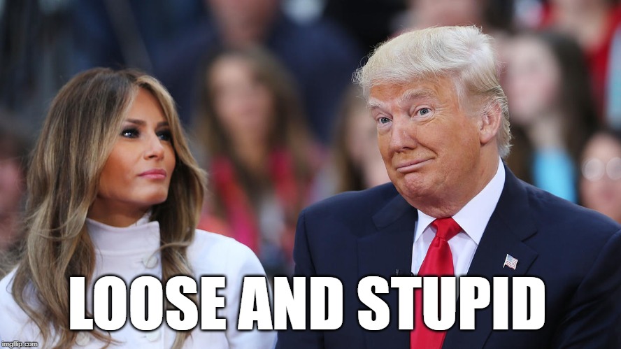 Donald and Melania Trump | LOOSE AND STUPID | image tagged in donald and melania trump | made w/ Imgflip meme maker