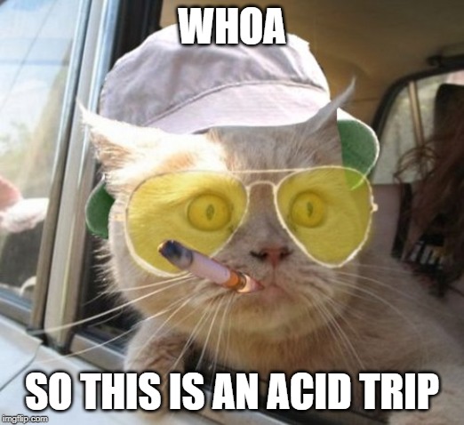 Fear And Loathing Cat |  WHOA; SO THIS IS AN ACID TRIP | image tagged in memes,fear and loathing cat | made w/ Imgflip meme maker