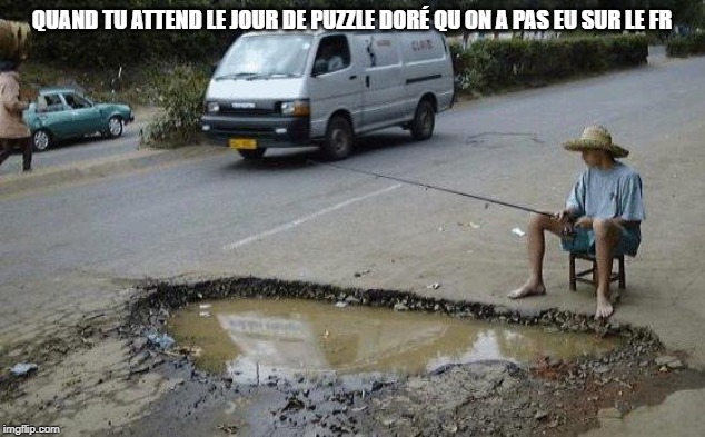 Fishing | QUAND TU ATTEND LE JOUR DE PUZZLE DORÉ QU ON A PAS EU SUR LE FR | image tagged in fishing | made w/ Imgflip meme maker