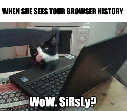 Disappointed Tech Support Cat | WHEN SHE SEES YOUR BROWSER HISTORY; WoW. SiRsLy? | image tagged in disappointed tech support cat | made w/ Imgflip meme maker