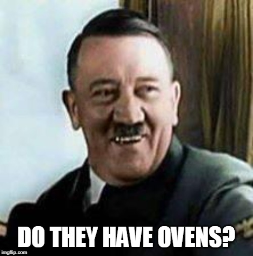 laughing hitler | DO THEY HAVE OVENS? | image tagged in laughing hitler | made w/ Imgflip meme maker