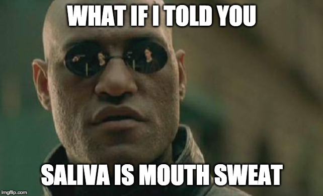 Up√0†¡πg ge†5 ¥0u p0¡π†5! | WHAT IF I TOLD YOU; SALIVA IS MOUTH SWEAT | image tagged in memes,matrix morpheus,funny | made w/ Imgflip meme maker
