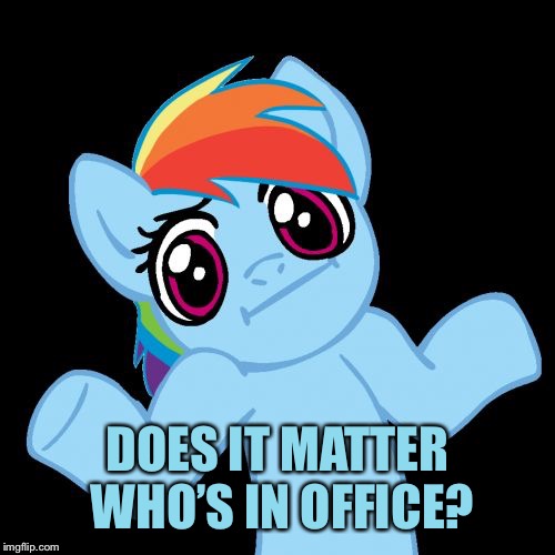 Pony Shrugs Meme | DOES IT MATTER WHO’S IN OFFICE? | image tagged in memes,pony shrugs | made w/ Imgflip meme maker
