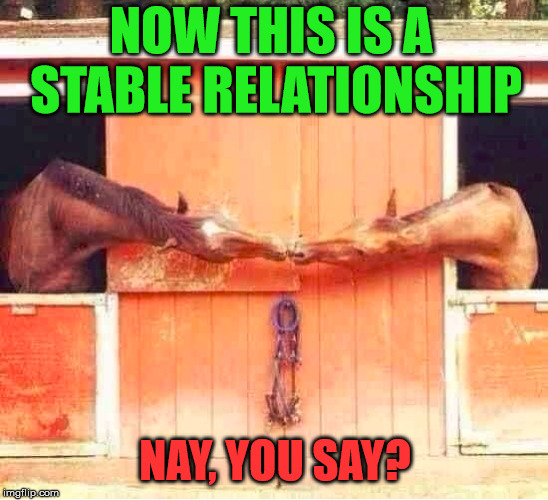 I am not horsing around | NOW THIS IS A STABLE RELATIONSHIP; NAY, YOU SAY? | image tagged in stable genius,horses,relationships | made w/ Imgflip meme maker