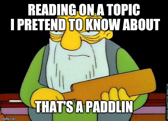 That's a paddlin' Meme | READING ON A TOPIC I PRETEND TO KNOW ABOUT THAT'S A PADDLIN | image tagged in memes,that's a paddlin' | made w/ Imgflip meme maker