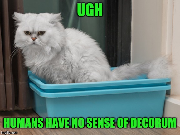 UGH HUMANS HAVE NO SENSE OF DECORUM | made w/ Imgflip meme maker