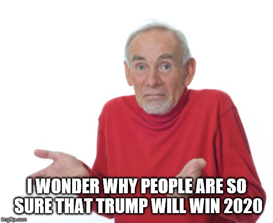 Guess I'll die  | I WONDER WHY PEOPLE ARE SO SURE THAT TRUMP WILL WIN 2020 | image tagged in guess i'll die | made w/ Imgflip meme maker