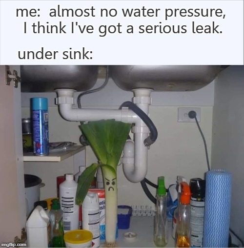 Don't Let It Happen To You! |  me:  almost no water pressure, I think I've got a serious leak. under sink: | image tagged in memes,onions,leaks,sink,funny | made w/ Imgflip meme maker
