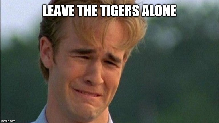 crying dawson | LEAVE THE TIGERS ALONE | image tagged in crying dawson | made w/ Imgflip meme maker