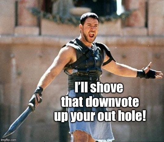 Gladiator  | I’ll shove that downvote up your out hole! | image tagged in gladiator | made w/ Imgflip meme maker