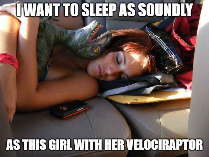 I WANT TO SLEEP AS SOUNDLY; AS THIS GIRL WITH HER VELOCIRAPTOR | image tagged in sleeping,girl,velociraptor,dinosaur | made w/ Imgflip meme maker