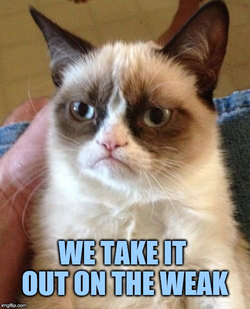 Grumpy Cat Meme | WE TAKE IT OUT ON THE WEAK | image tagged in memes,grumpy cat | made w/ Imgflip meme maker