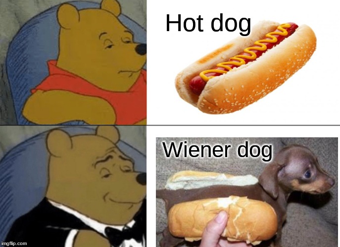 Tuxedo Winnie The Pooh Meme | Hot dog; Wiener dog | image tagged in memes,tuxedo winnie the pooh | made w/ Imgflip meme maker