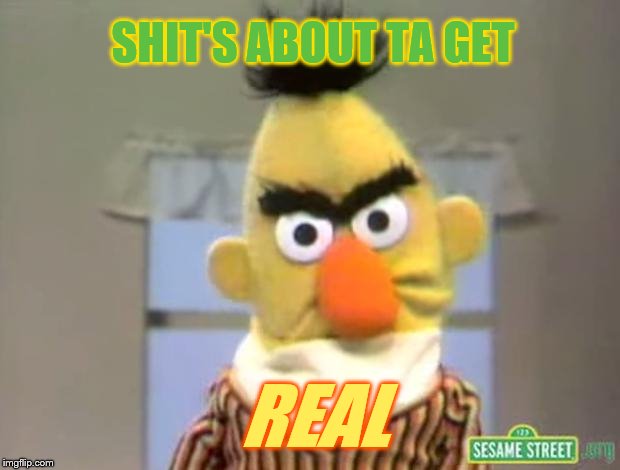 Sesame Street - Angry Bert | SHIT'S ABOUT TA GET REAL | image tagged in sesame street - angry bert | made w/ Imgflip meme maker