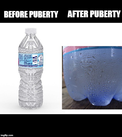 Relatable | BEFORE PUBERTY; AFTER PUBERTY | image tagged in blank white template,memes,puberty,funny | made w/ Imgflip meme maker