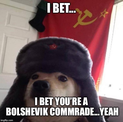 Russian Doge | I BET... I BET YOU’RE A BOLSHEVIK
COMMRADE...YEAH | image tagged in russian doge | made w/ Imgflip meme maker