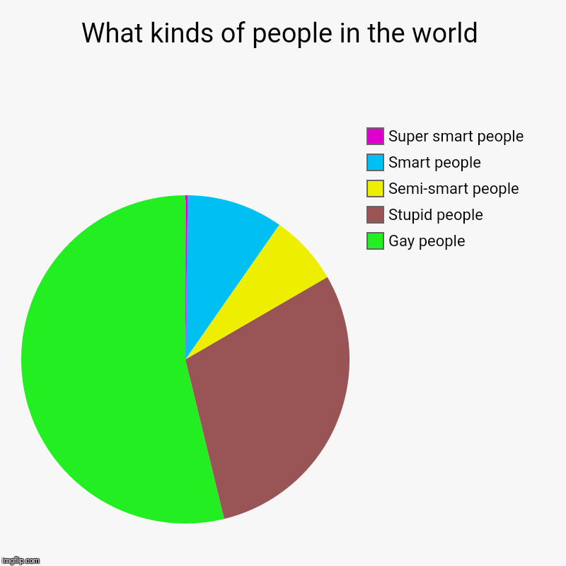 What kinds of people in the world | Gay people, Stupid people, Semi-smart people, Smart people, Super smart people | image tagged in charts,pie charts | made w/ Imgflip chart maker