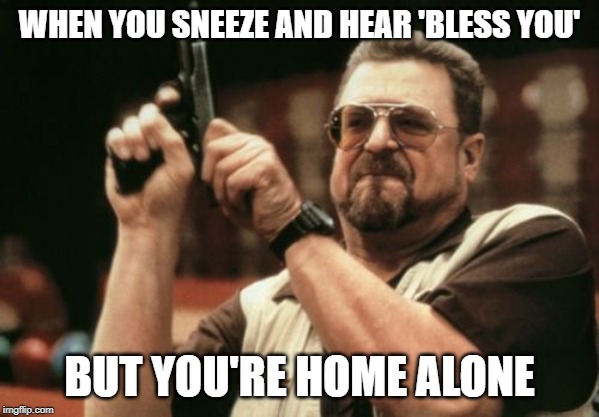 Am I The Only One Around Here Meme | WHEN YOU SNEEZE AND HEAR 'BLESS YOU'; BUT YOU'RE HOME ALONE | image tagged in memes,am i the only one around here | made w/ Imgflip meme maker