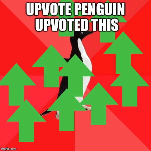 Socially Awesome Penguin Meme | UPVOTE PENGUIN UPVOTED THIS | image tagged in memes,socially awesome penguin | made w/ Imgflip meme maker