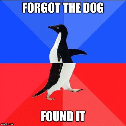 Socially Awkward Awesome Penguin Meme | FORGOT THE DOG FOUND IT | image tagged in memes,socially awkward awesome penguin | made w/ Imgflip meme maker
