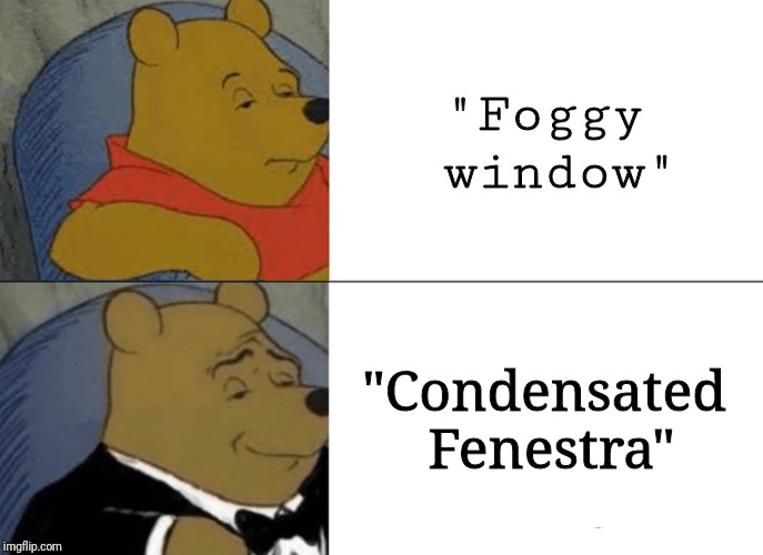 Tuxedo Winnie The Pooh | "Foggy window"; "Condensated Fenestra" | image tagged in memes,tuxedo winnie the pooh | made w/ Imgflip meme maker