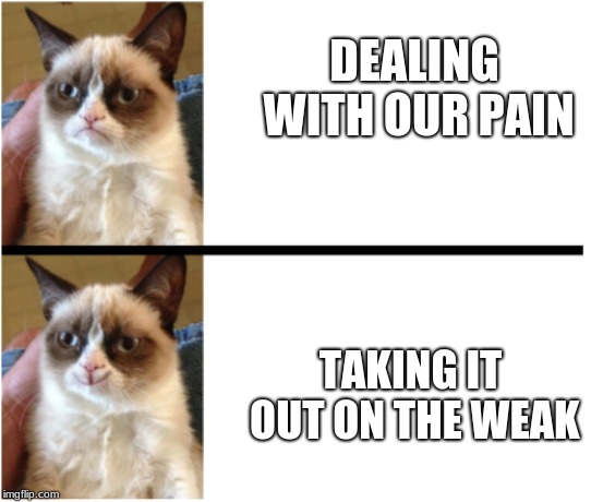 Happy Grumpy Cat | DEALING WITH OUR PAIN TAKING IT OUT ON THE WEAK | image tagged in happy grumpy cat | made w/ Imgflip meme maker