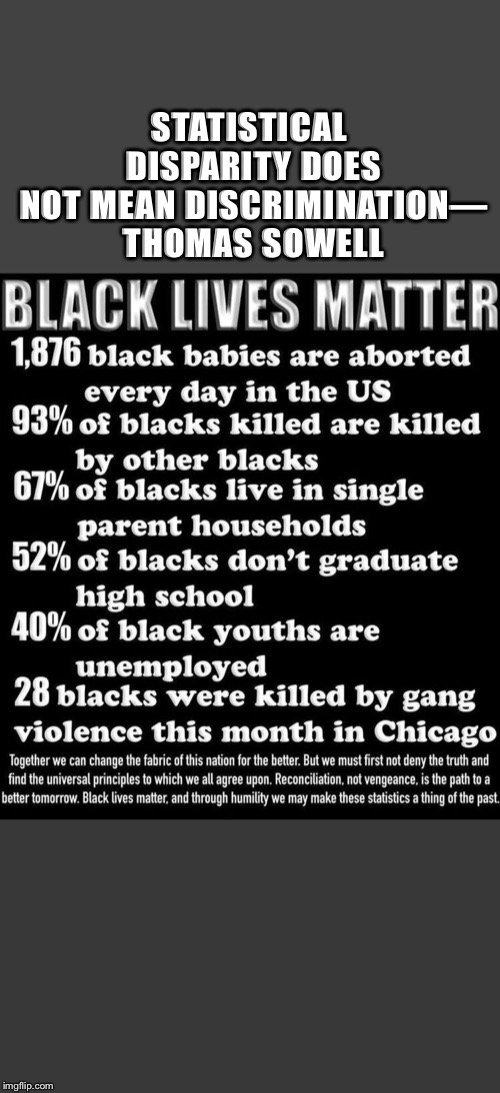 STATISTICAL DISPARITY DOES NOT MEAN DISCRIMINATION | STATISTICAL DISPARITY DOES NOT MEAN DISCRIMINATION— THOMAS SOWELL | image tagged in politics,race | made w/ Imgflip meme maker