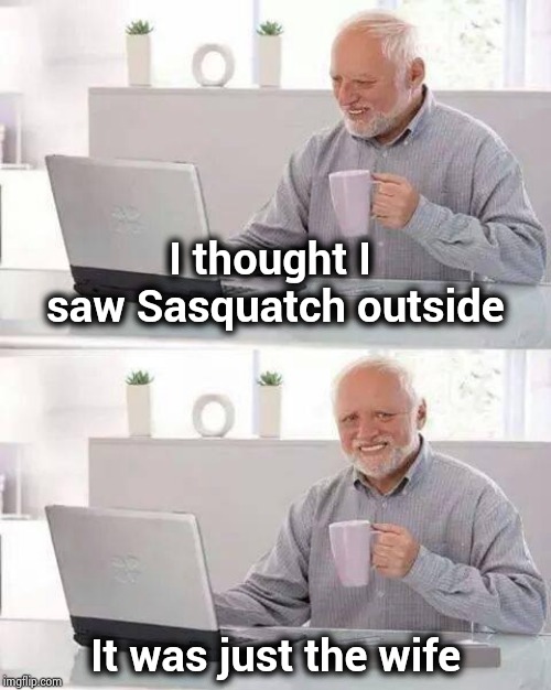 She looks like Hell before her morning coffee | I thought I saw Sasquatch outside; It was just the wife | image tagged in memes,hide the pain harold,beast mode,makeup,aint nobody got time for that | made w/ Imgflip meme maker