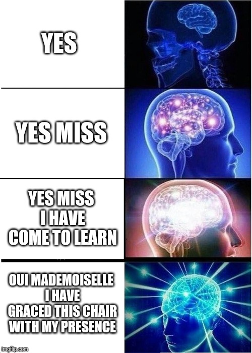 Expanding Brain Meme | YES; YES MISS; YES MISS I HAVE COME TO LEARN; OUI MADEMOISELLE I HAVE GRACED THIS CHAIR WITH MY PRESENCE | image tagged in memes,expanding brain | made w/ Imgflip meme maker