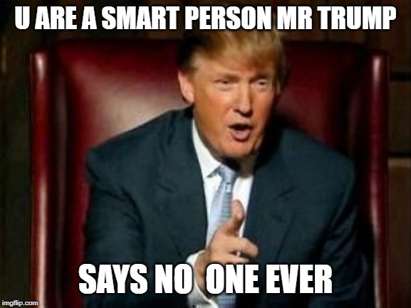 U ARE A SMART PERSON MR TRUMP SAYS NO  ONE EVER | image tagged in donald trump | made w/ Imgflip meme maker