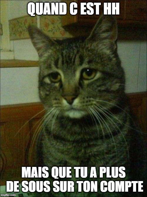 Depressed Cat Meme | QUAND C EST HH; MAIS QUE TU A PLUS DE SOUS SUR TON COMPTE | image tagged in memes,depressed cat | made w/ Imgflip meme maker